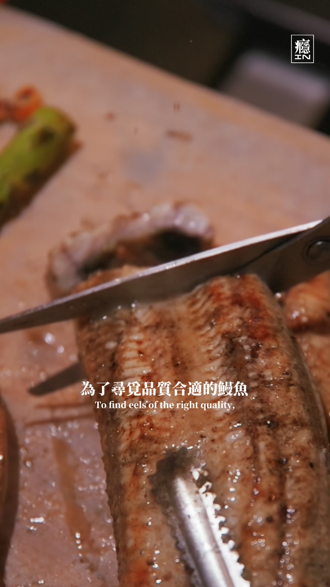 風川鰻魚 影像紀錄 3