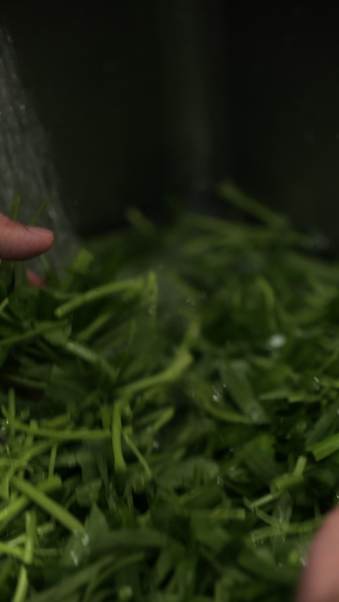 我不怕你泰胖 影像紀錄 3