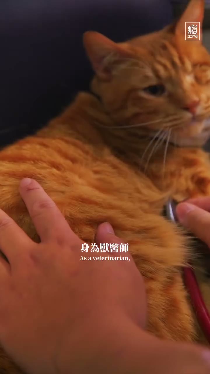 癮台灣的故事短影音封面